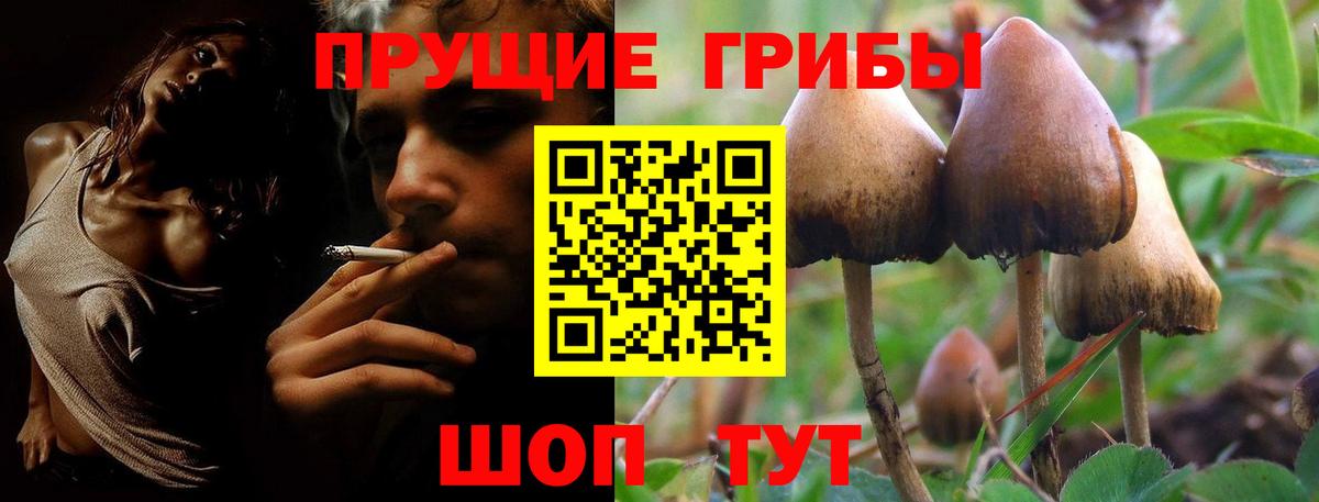 Псилоцибиновые грибы мухоморы Осинники